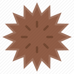 海胆