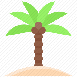 棕榈树
