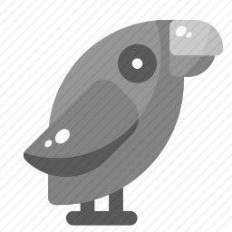 鸟