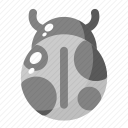 <em>臭虫</em>
