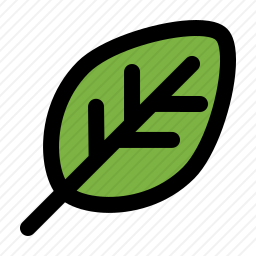 <em>叶子</em>