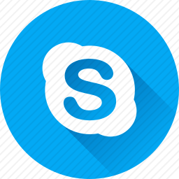 <em>Skype</em>