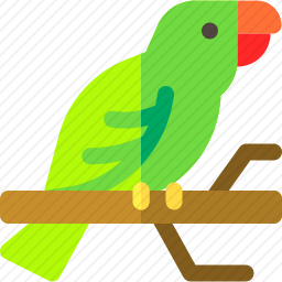 <em>鹦鹉</em>