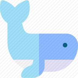 <em>鲸鱼</em>