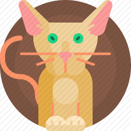 东方猫