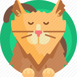 猫咪
