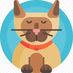 暹罗猫