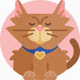 波斯猫