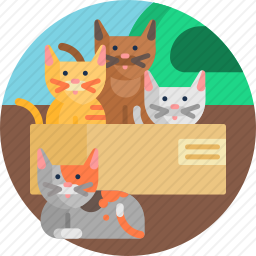 小猫