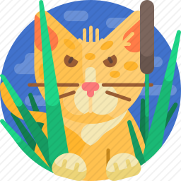 野生的猫