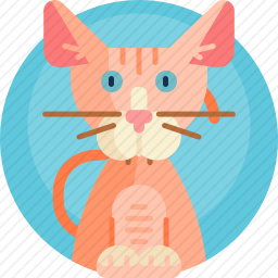斯芬克斯猫