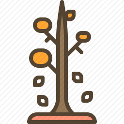 树