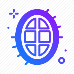 <em>榴莲</em>