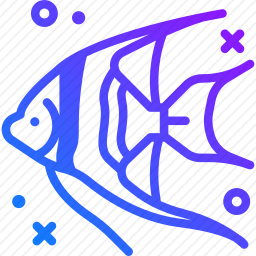 <em>神仙</em><em>鱼</em>