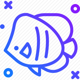 <em>神仙</em><em>鱼</em>