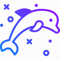 海豚