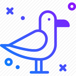 <em>海鸥</em>
