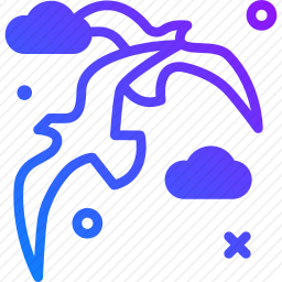 海鸥