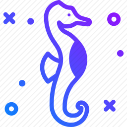 海马