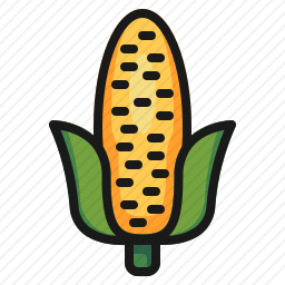 <em>玉米</em>