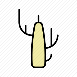 枯树