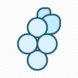 浆果