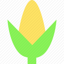 玉米