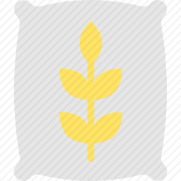 小麦粉