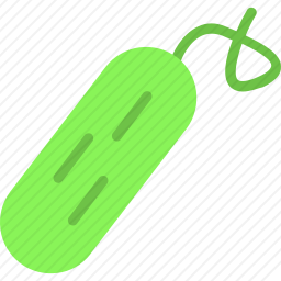 黄瓜