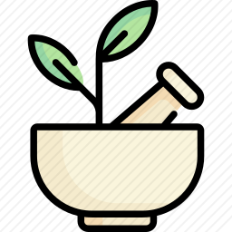 草本植物