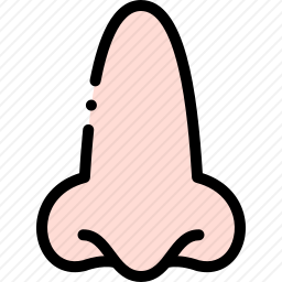鼻子