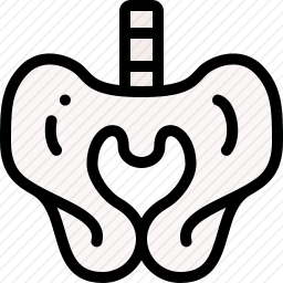 骨盆