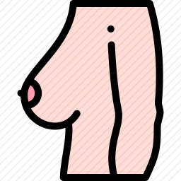 乳房