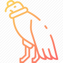 秃鹰