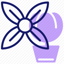 <em>花</em>