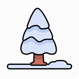 松树