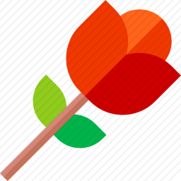 <em>玫瑰</em>