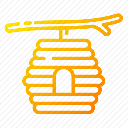 蜂巢