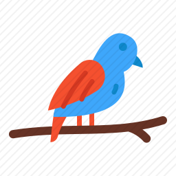 鸟