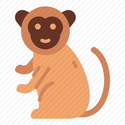 <em>猴子</em>