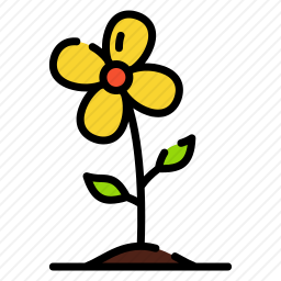花