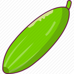 黄瓜