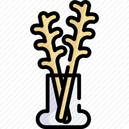 <em>香薰</em>