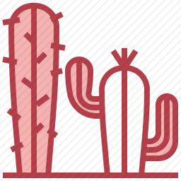 <em>仙人掌</em>