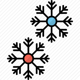 <em>雪花</em>