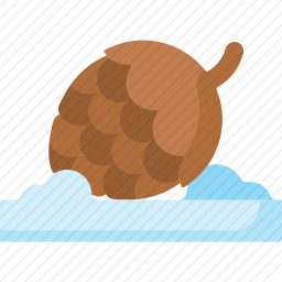 松果
