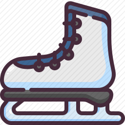 <em>溜冰鞋</em>