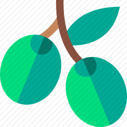 橄榄