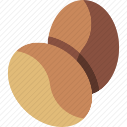 <em>咖啡豆</em>