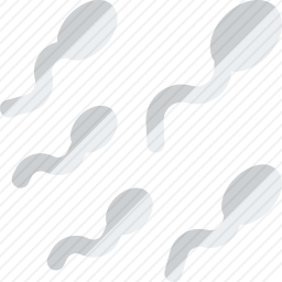精子